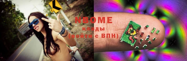 стаф Верея