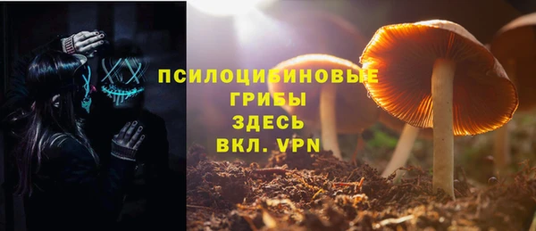 прущая мука Бронницы