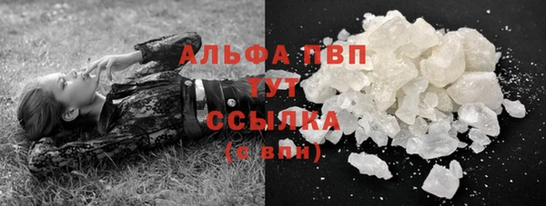 стаф Верея